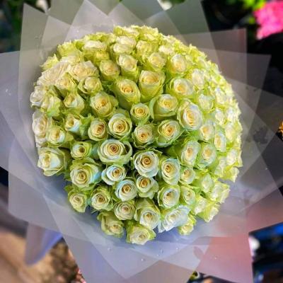 Bouquet  White rose bouquet