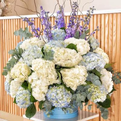 Box Haydrenja white, light blue,and delphinium purple, salix, with big box